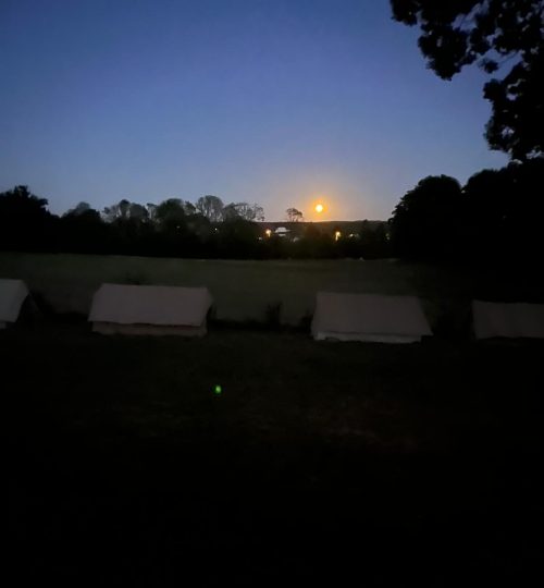 Nos activités camp