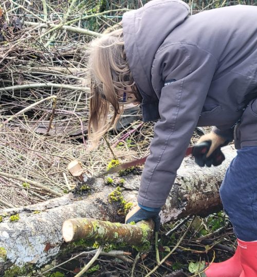 Nos activités chantier nature