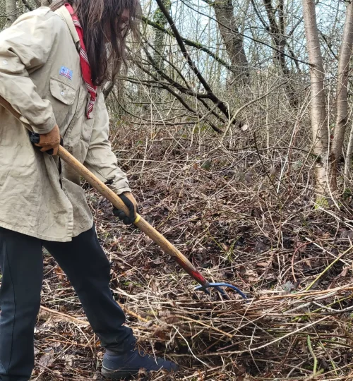 Nos activités chantier nature